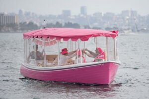 2-Hour Private Pink Bachelorette Boat Cruise in San Diego Bay - The boat experience: small upgrades that make a big difference