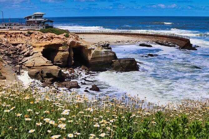 A Seaside Stroll: La Jolla's Hidden Treasures Self-Guided Tour - Should you book this seaside stroll?