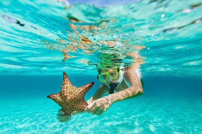 All Day Snorkel Package with Wetsuit Rental - Don’t get burned by late-day plans