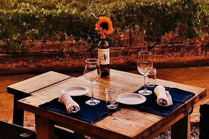All-Inclusive Private Wine Tour in Baja - Key Highlights at a Glance