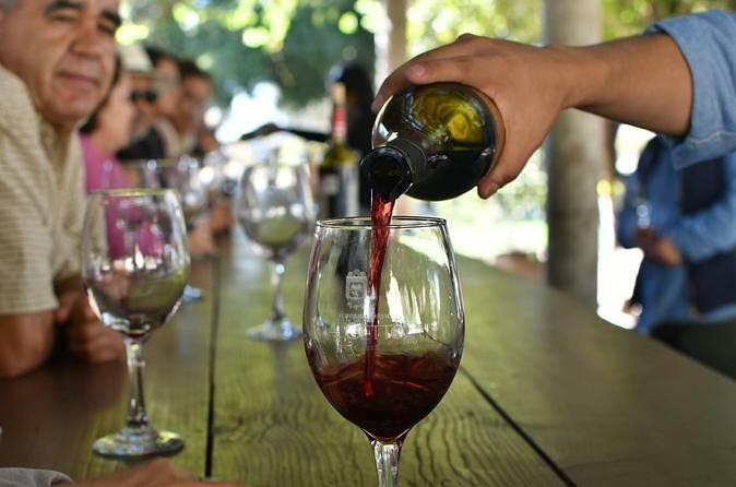 Grand Mexico Wine Country Tour from San Diego - Key things that make this tour worth your time