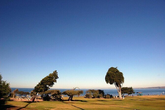 Historic La Jolla Walking Tour - Quick highlights you can plan around