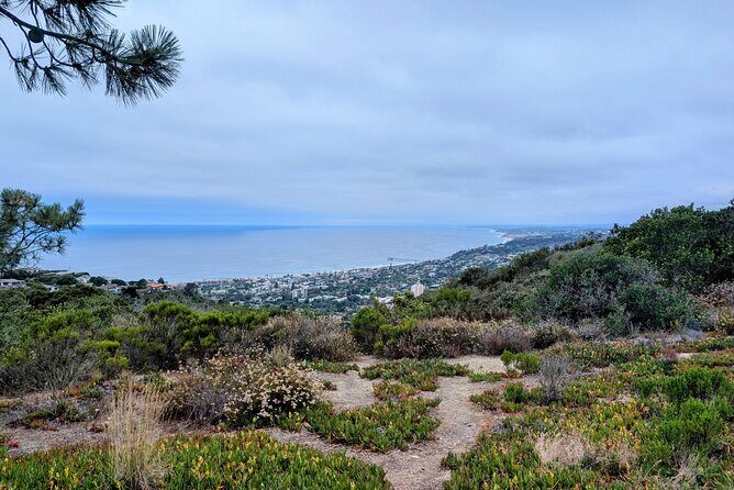 La Jolla Electric Bike Tour - Children’s Pool: Seals, Seawall Views, and Easy Vibes