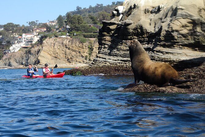 La Jolla Kayak and Snorkel Tour - The kayak portion: sea caves, pacing, and staying with the group