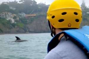 La Jolla Sea Caves Kayak Tour For Two (Tandem Kayak) - Price and value for a tandem kayak tour (and what you’re really paying for)