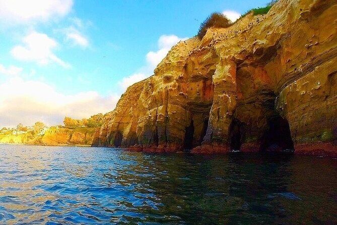 La Jolla Sea Caves Kayak Tour (Single Kayak) - Stop 2: La Jolla Underwater Park for real marine-life odds