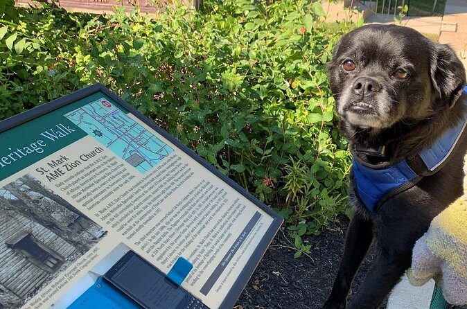 Mysteries on the Move: Scavenger Hunt in San Diego - Is it worth your time? Value for different kinds of visitors