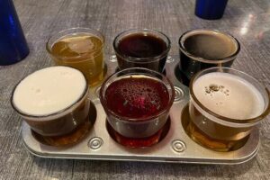 Private San Diego Beer Tasting Tour - How the 2–4 Brewery Stops Work (And Why It Matters)
