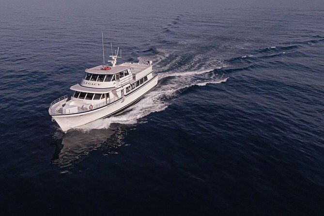 San Diego: 3 Hour Whale Watching Cruise - Key things I’d watch for on this cruise