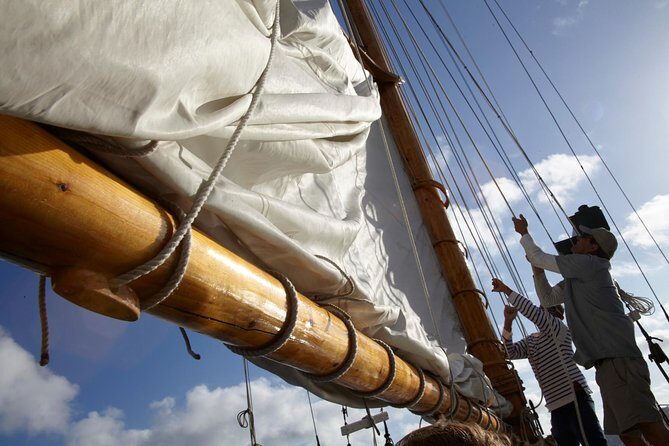 San Diego Bay Sail Aboard a Vintage Yacht Beer and Wine Included - What you’ll see: San Diego Bay landmarks from the water