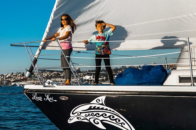 San Diego Half-Day Marine Wildlife Tour with Lunch - Setting Off From Cabrillo Isle at 11:00
