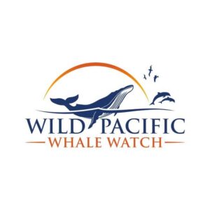San Diego: Luxury Year-round Whale Watching & Dolphin Tour - Key things to know before you go