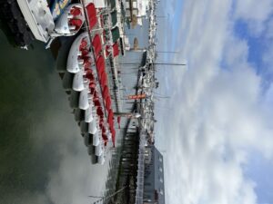 San Diego: San Diego Bay Dog-Friendly Eco Pedal Boat Rentals - Meeting Eco Boat Rentals at H&M Landing (and finding your way fast)