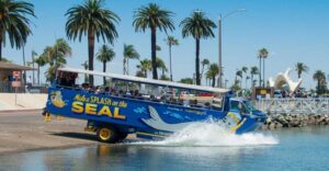 San Diego: SEAL City Tour by Amphibious Bus - The Big Bay wildlife stop: seals, sea lions, and harbor life