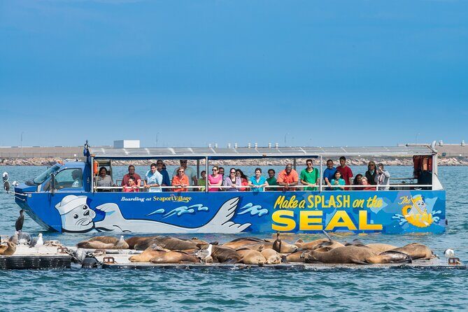 San Diego Seal Tour - Splash-down at Ski Beach: where the bay cruise really starts