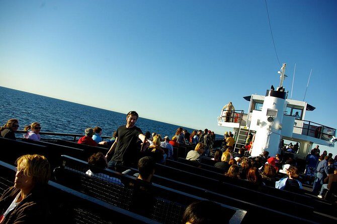 San Diego Whale Watching Cruise - Indoor vs outdoor seating: what to choose before you leave the dock