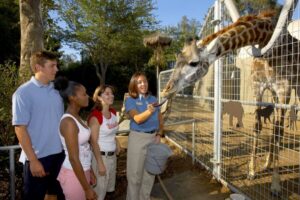 San Diego Zoo: 1-Day Admission Ticket - Getting in fast: skipping the admission ticket line