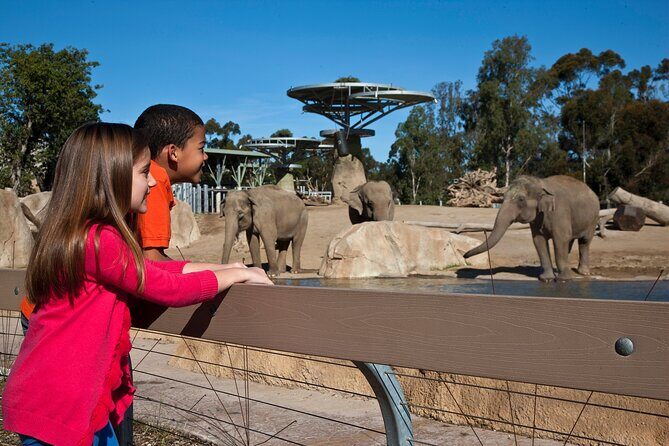 San Diego Zoo and Safari Park 2-Visit Pass Ticket - What $130 buys you (and when it’s actually a deal)