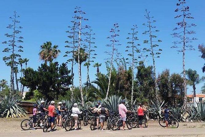 SoCal Riviera Electric Bike Tour of La Jolla and Mount Soledad - Windansea Beach for surf energy and fast photo stops