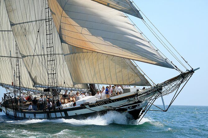 Tall Ship Adventure aboard the Schooner Californian with General Admission - San Diego views from the harbor into the open ocean